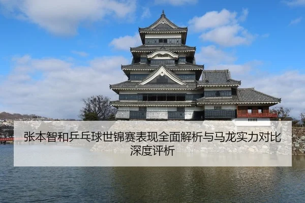 张本智和乒乓球世锦赛表现全面解析与马龙实力对比深度评析 - HTH SPORTS